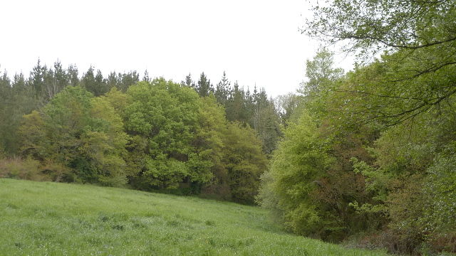 Lourenzá (Galicia)