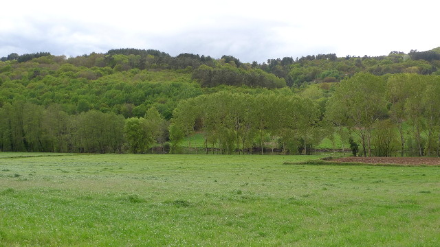 Mondoñedo (Galicia)