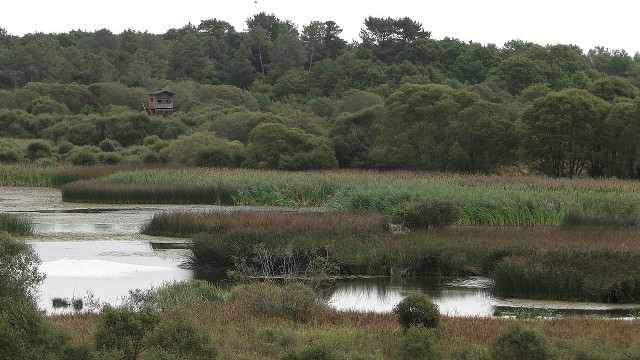 Cospeito (Galicia)