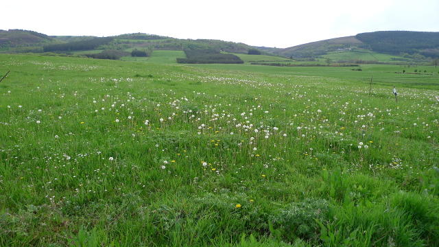 Baralla (Galicia)