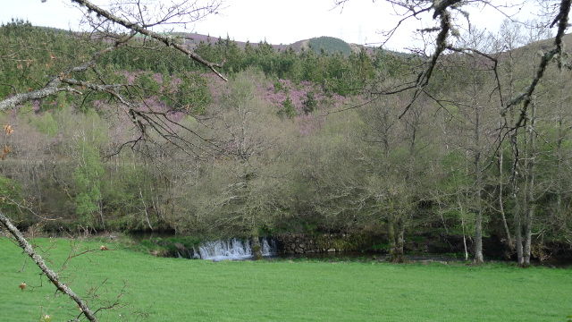 Baralla (Galicia)