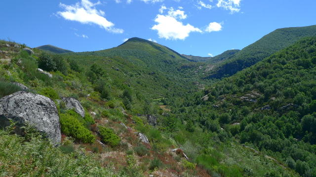 Cervantes (Galicia)