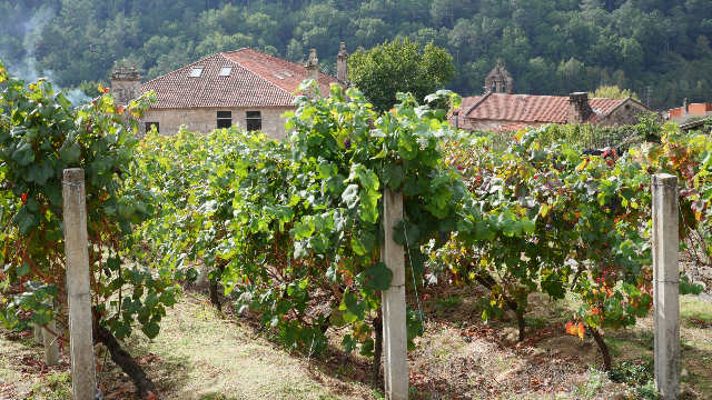 Boborás (Galicia)