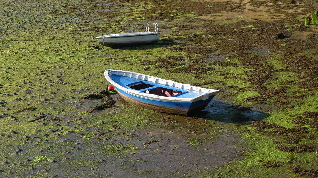 Vilaboa (Galicia)