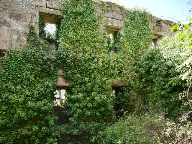 Mosteiro de Trandeiras (Galicia)