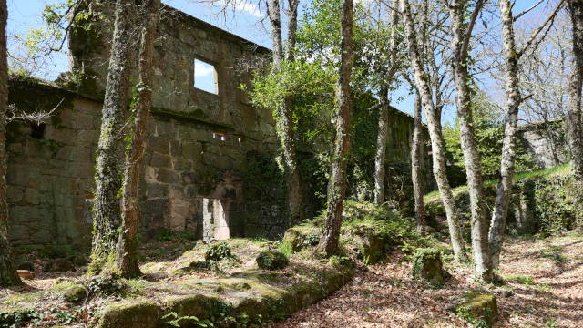 Mosteiro de Trandeiras (Galicia)
