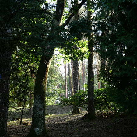 Parque Municipal de Carballiño
