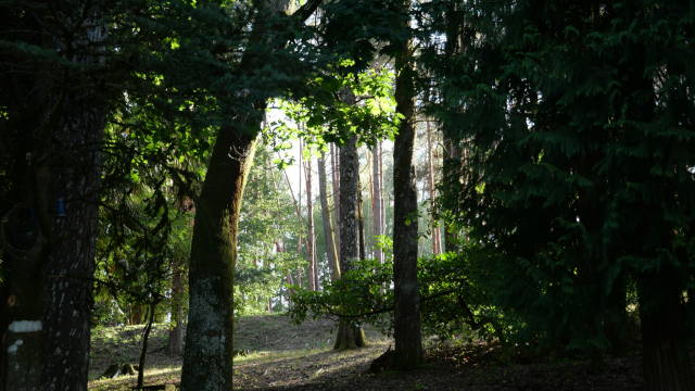 Parque Municipal de O Carballiño (Galicia)