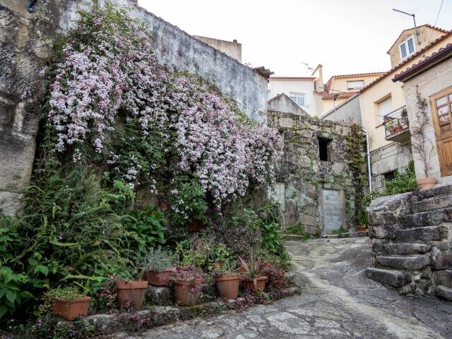 Rúa de San Roque (Combarro) (Galicia)