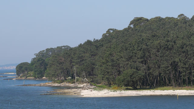 Illa Cortegada (Galicia)