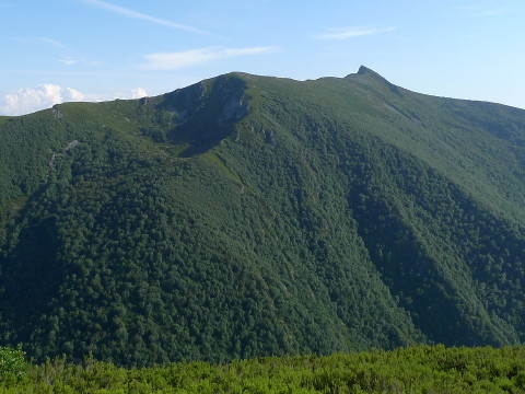 Penarrubia (Galicia)