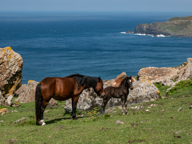 Praia de Teixidelo (Galicia)