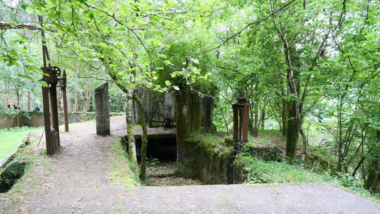 Cañón do Eume (Galicia)