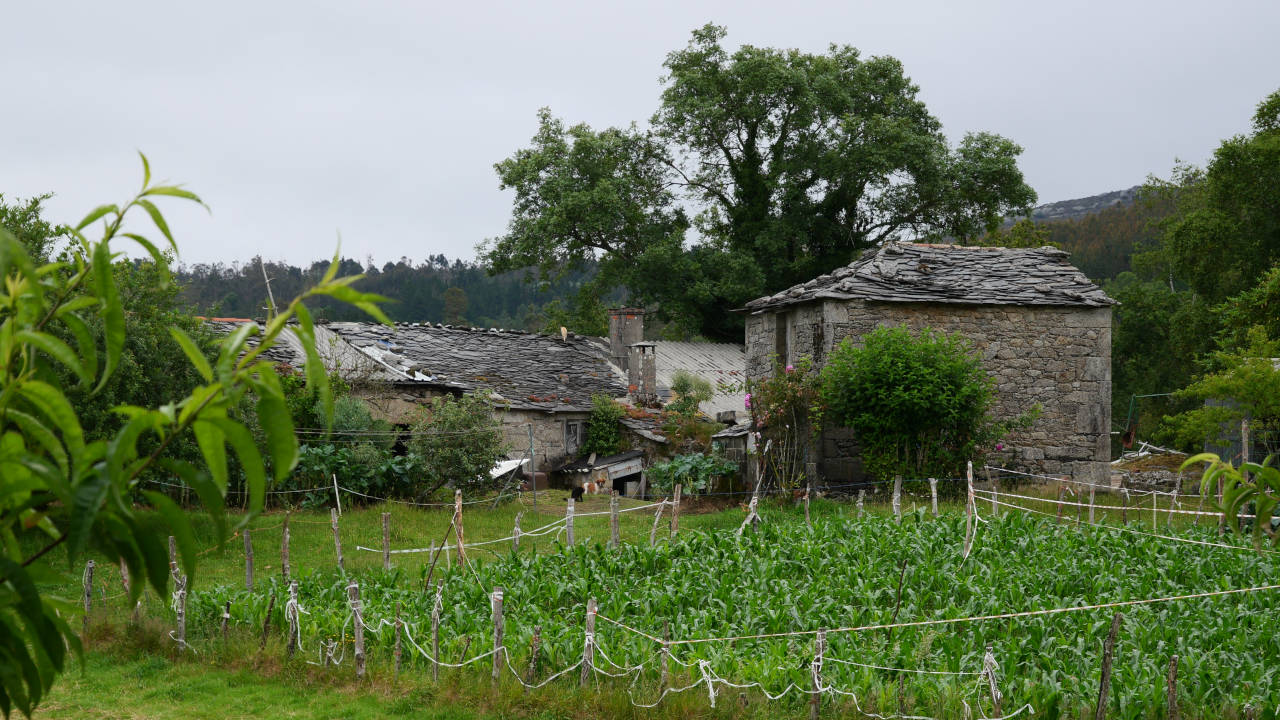 Cañón do Eume (Galicia)