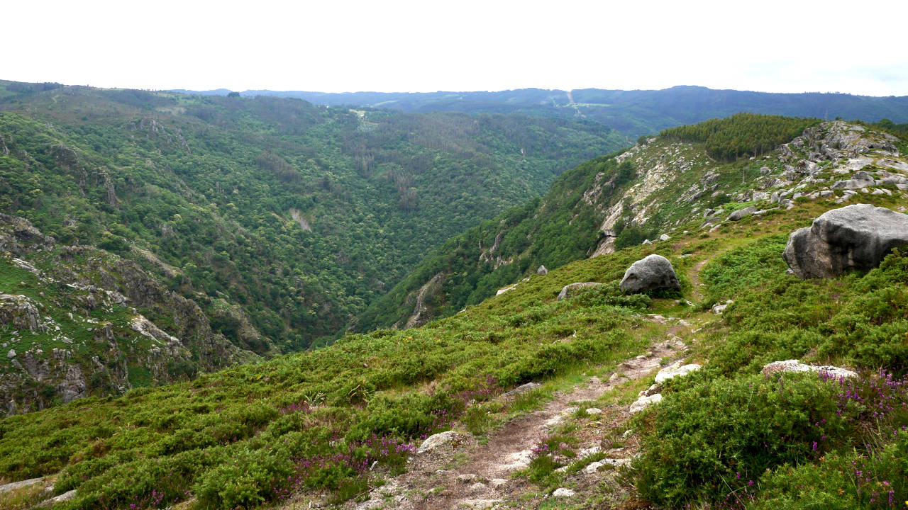 Cañón do Eume (Galicia)