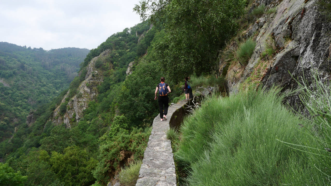 Cañón do Eume (Galicia)