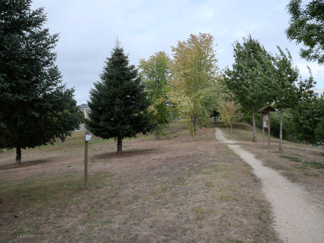 Ruta Botánica polo Campus Universitario de Lugo (Galicia)