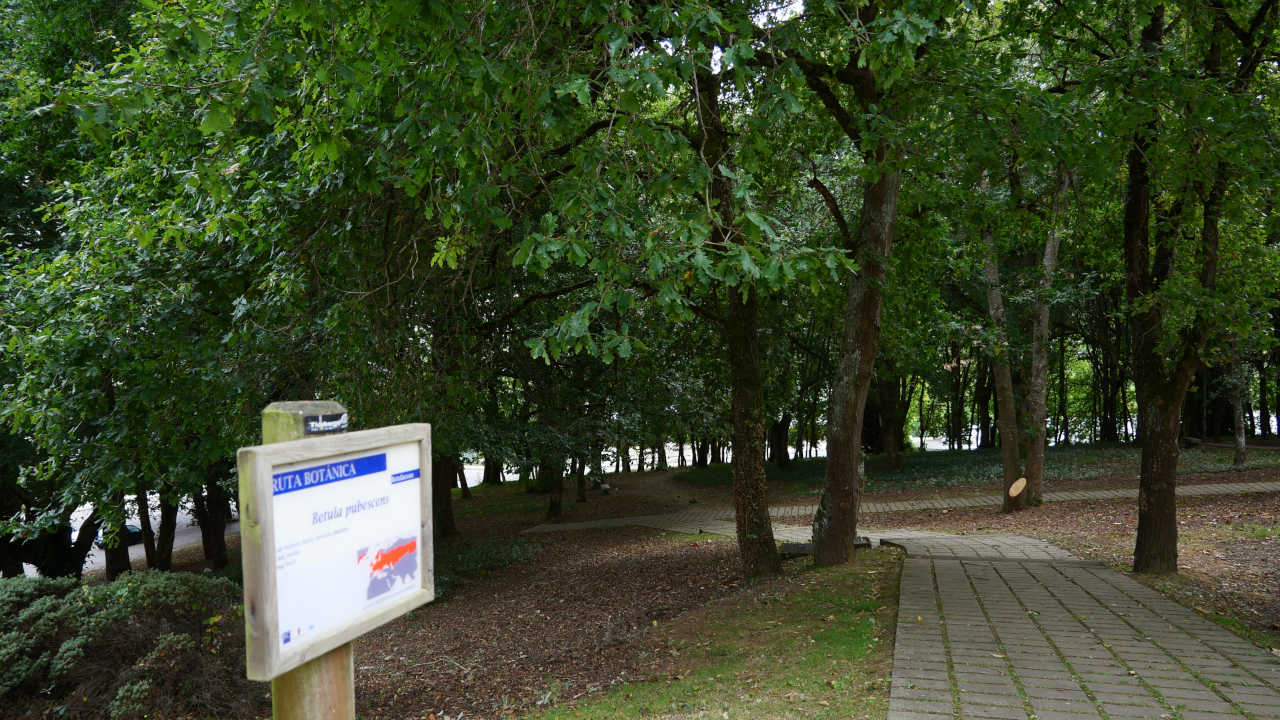 Ruta Botánica polo Campus Universitario de Lugo (Félix González)