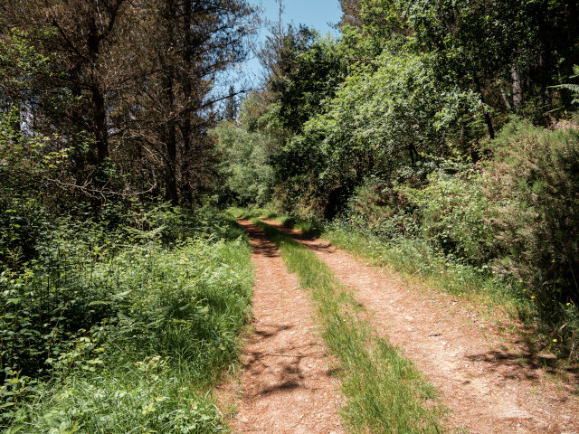 Ruta da Marronda-Alto Eo (Galicia)