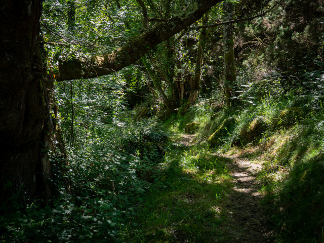 Ruta da Marronda-Alto Eo (Galicia)