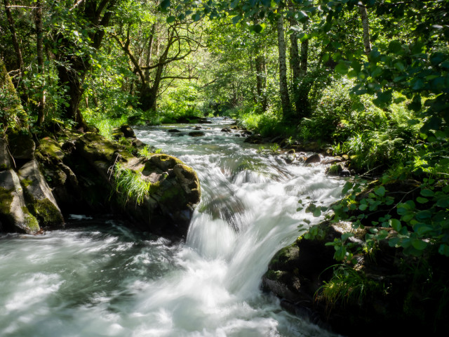 Ruta da Marronda-Alto Eo (Galicia)