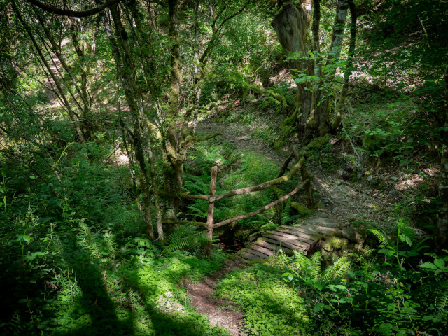 Ruta da Marronda-Alto Eo (Galicia)