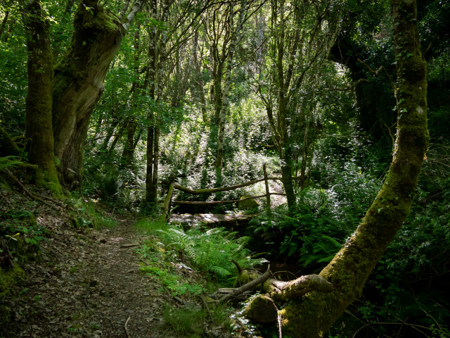 Ruta da Marronda-Alto Eo (Galicia)