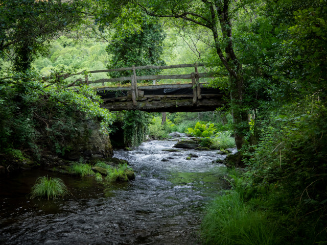 Ruta da Marronda-Alto Eo (Galicia)