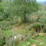 Subida a Mustallar desde A Ponte de Vales