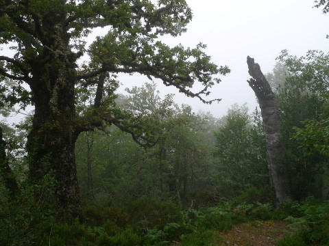 Subida a Mustallar desde A Ponte de Vales (Galicia)