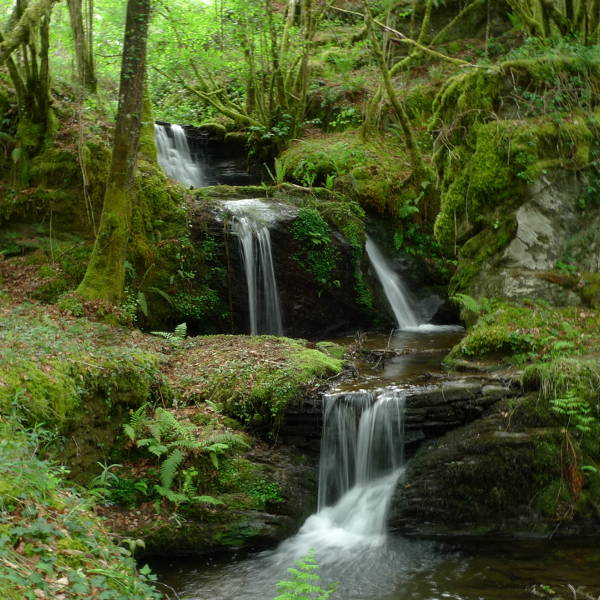 Sendeiro de Quintá-Río Donsal