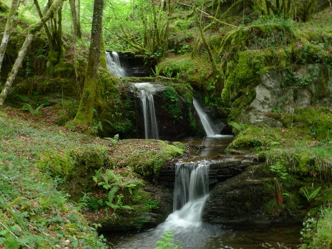 Sendeiro de Quintá-Río Donsal (Galicia)