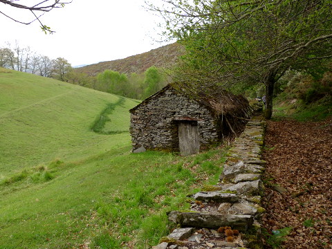 Sendeiro de Quintá-Río Donsal (Galicia)