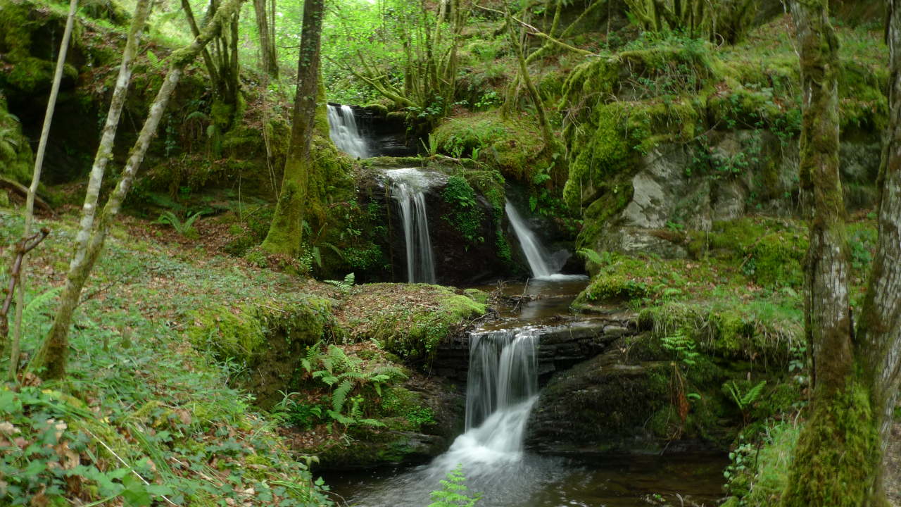 Sendeiro de Quintá-Río Donsal (Félix González)