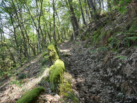 Ruta do Contrabando (Galicia)