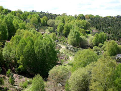 Ruta do Contrabando (Galicia)