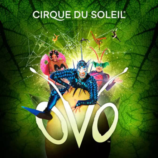 OVO Cirque du Soleil