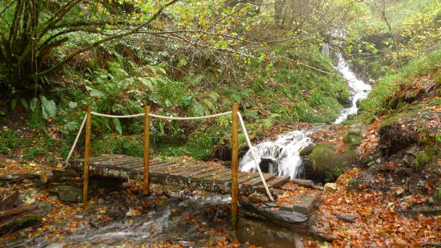 Aula da Natureza de Moreda (Galicia)