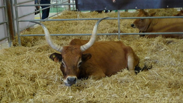 Feria Internacional de Galicia (Galicia)
