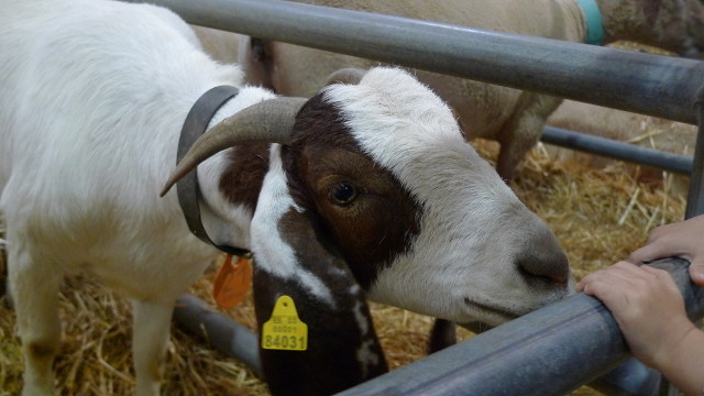 Feria Internacional de Galicia (Galicia)